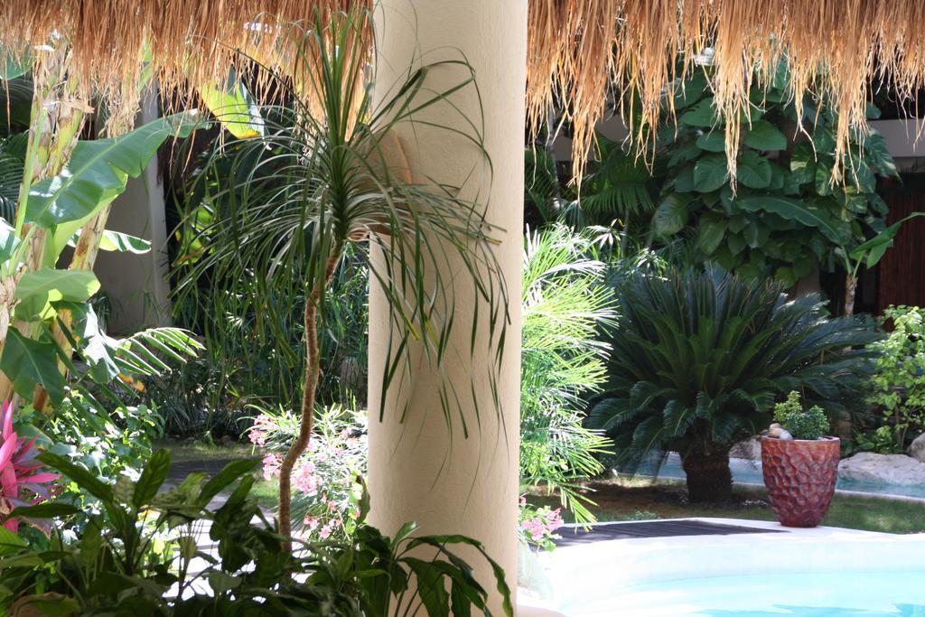 La Tortuga Hotel & Spa - Adults Only Playa del Carmen Eksteriør billede