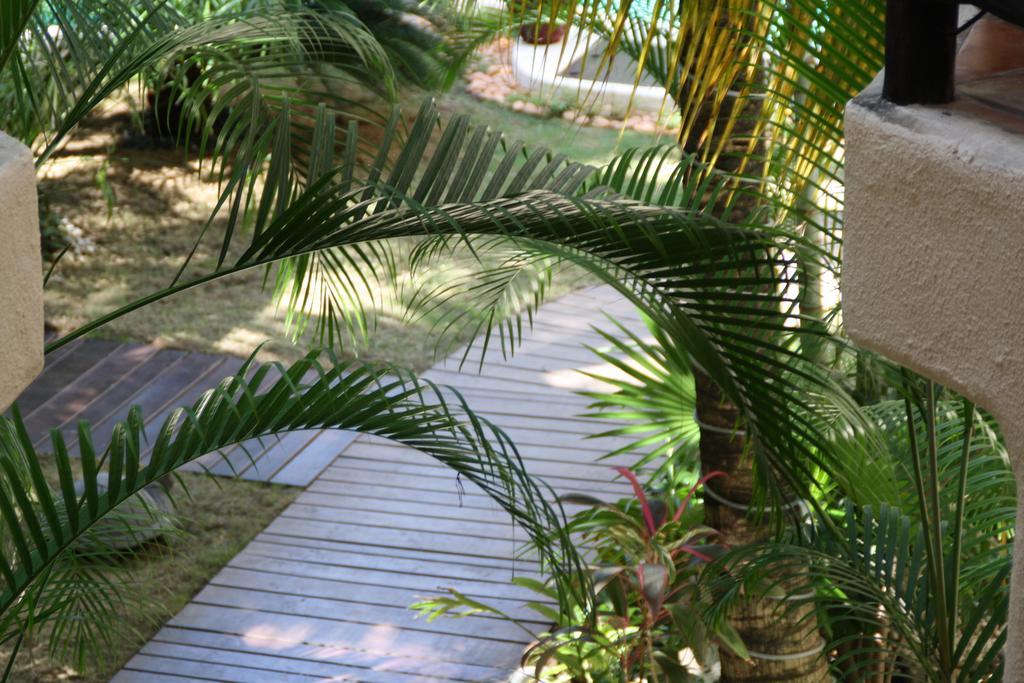 La Tortuga Hotel & Spa - Adults Only Playa del Carmen Eksteriør billede
