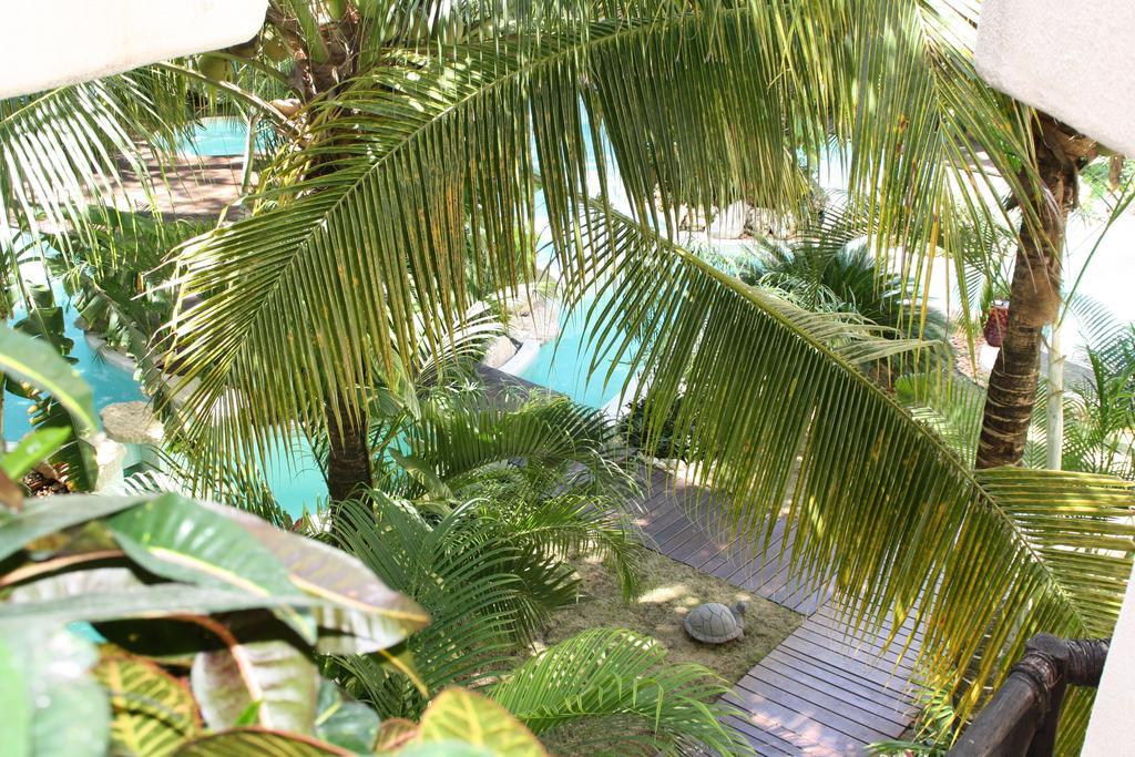 La Tortuga Hotel & Spa - Adults Only Playa del Carmen Eksteriør billede