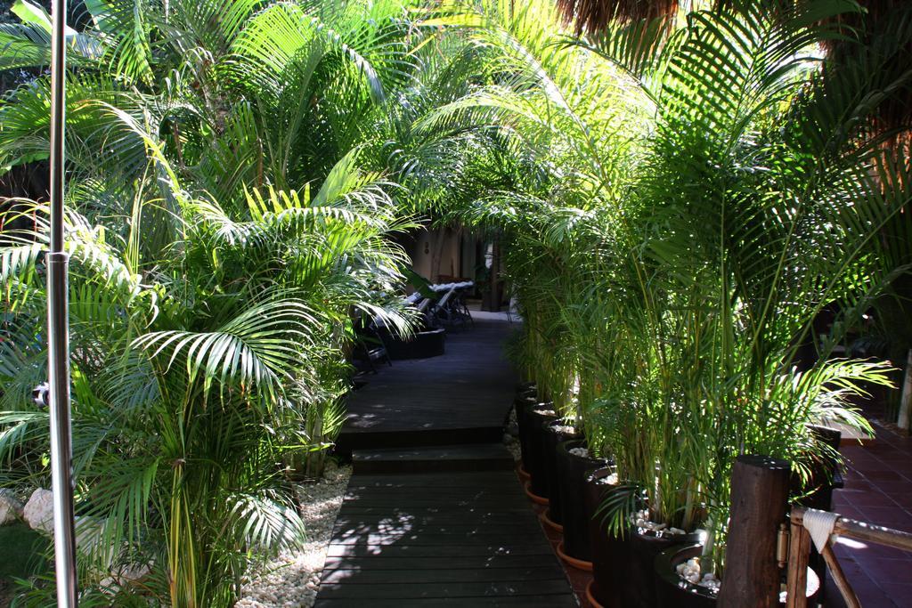 La Tortuga Hotel & Spa - Adults Only Playa del Carmen Eksteriør billede
